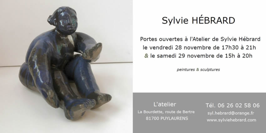 203-11-VERNISSAGE-SYLVIE-HEBRARD