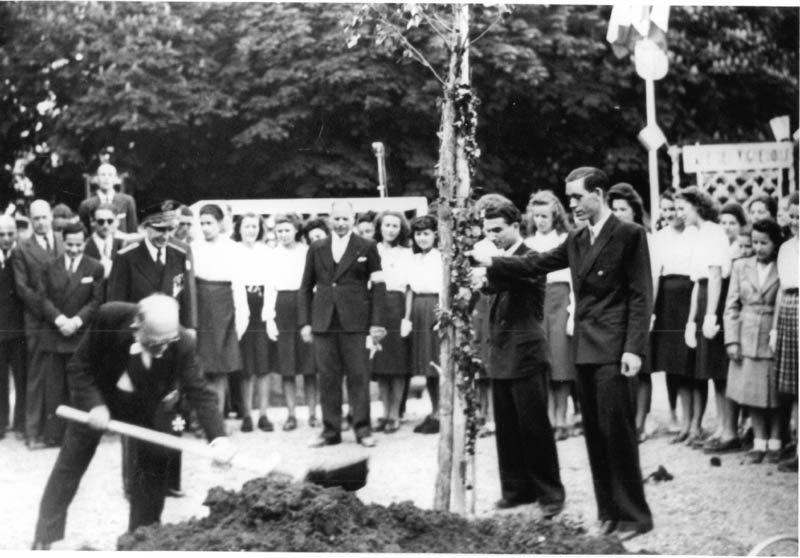 A 073 V Auriol A DIJON 1947