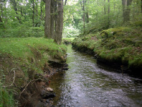 rigole-037v
