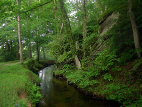 rigole-46