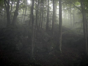 rigole-049v