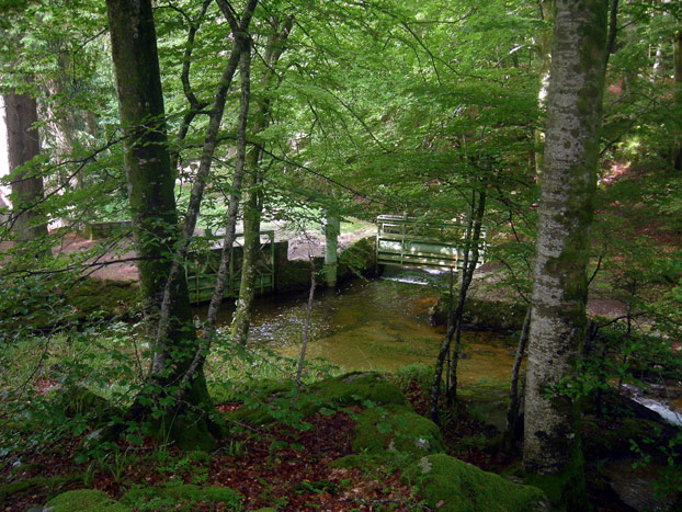 rigole54