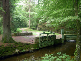 rigole-56v