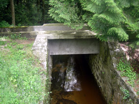 rigole-81v
