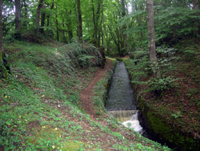 rigole-118v