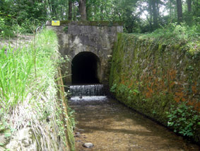 st ferreol-142v