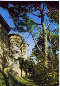 CHATEAU DE VAUDREUIL