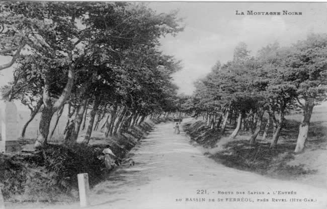 route-des-sapins