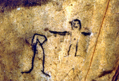 ANTR1