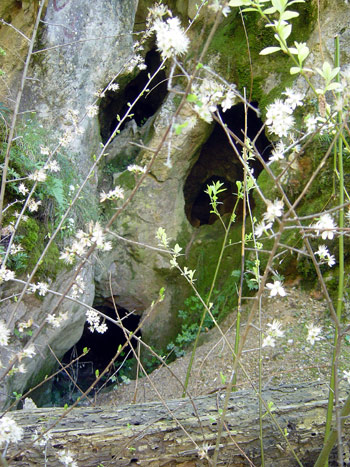 GROTTE-03-CASTELLAS