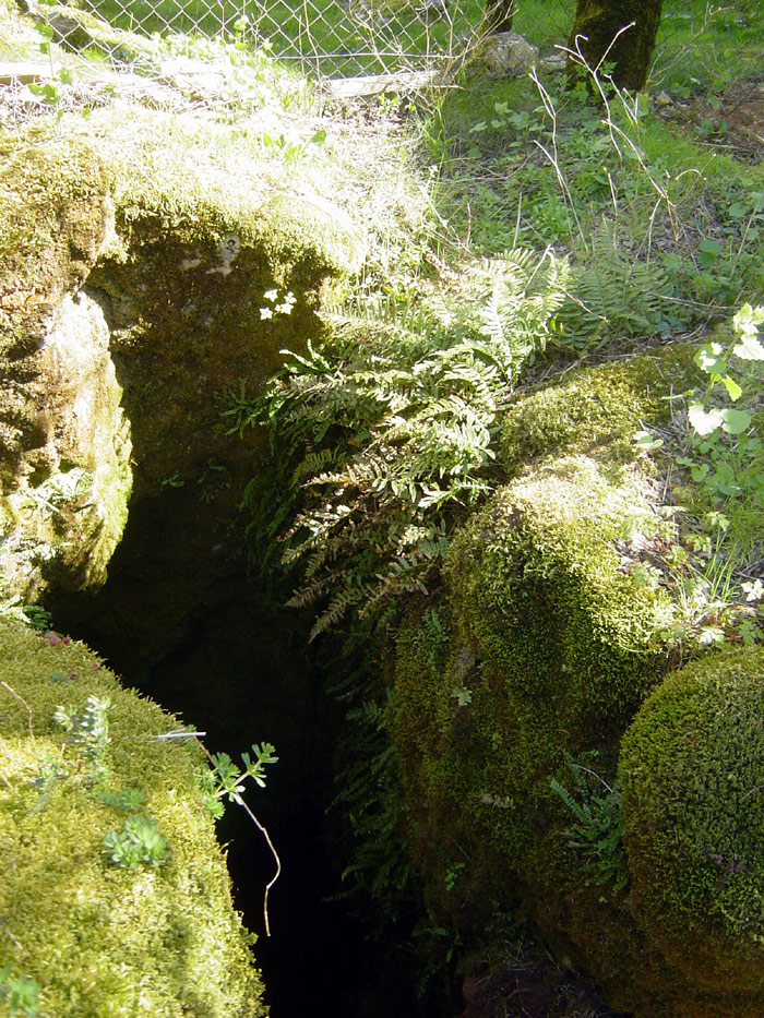 AVEN-DU-CAUSSE