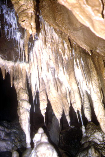 Aven-Viala