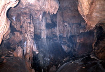 RESEAU-BALAYE