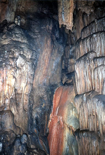 RESEAU-BALAYE