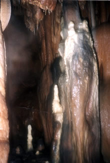 RESEAU-BALAYE