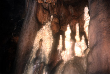 RESEAU-BALAYE