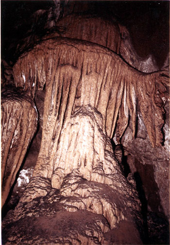 RESEAU-BALAYE