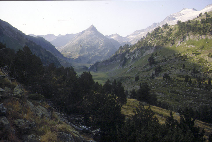 VALLEE-TORO