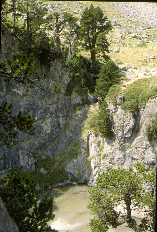 LE-TROU-DU-TORO