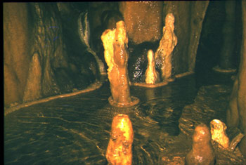 GROTTE DES GOURS