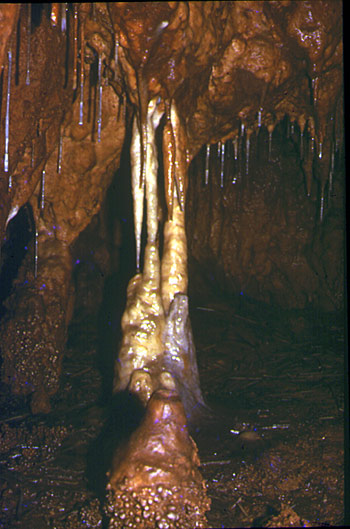 GROTTE DES GOURS