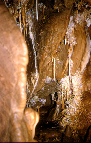 GROTTE-DU-PLOMB