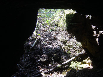 GROTTE-SANGLIER