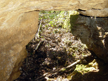 GROTTE-SANGLIER