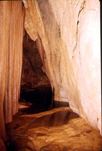 Topo-G9-82