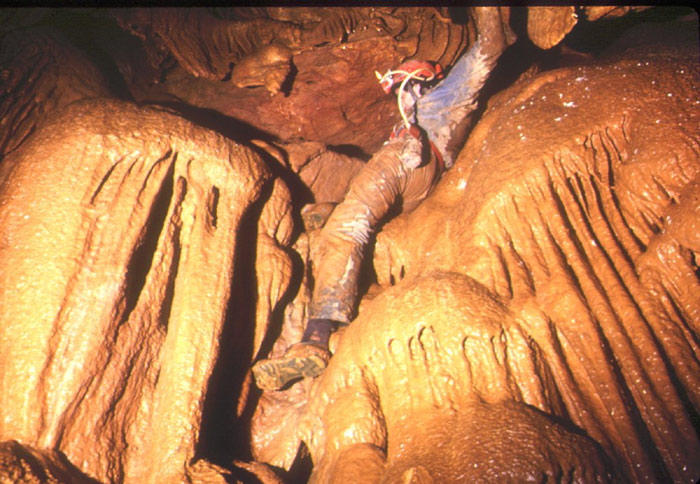Topo-G9-82