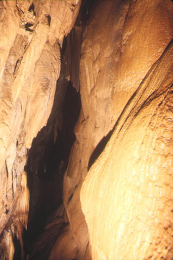 Topo-G9-82