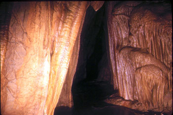Topo-G9-82