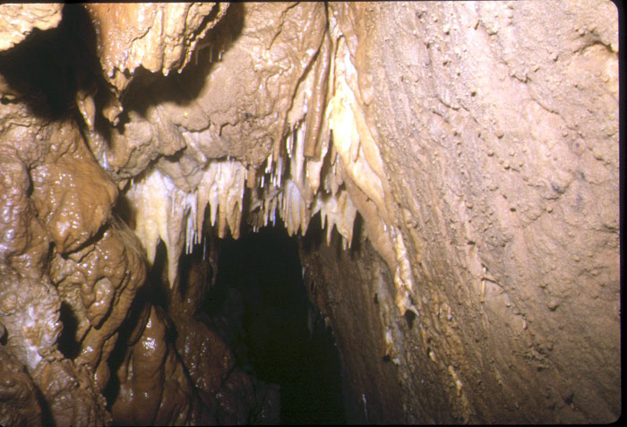 Topo-G9-82