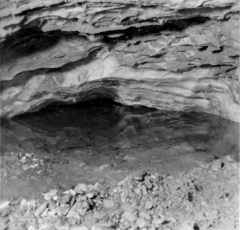 VUE-SIPHON-1