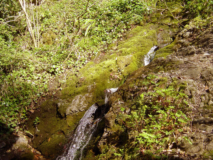 Fontaine-de-Mounies