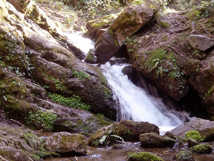 Ruisseau_du_Melzic