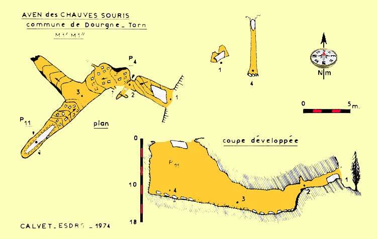 Aven-des-chauves-souris