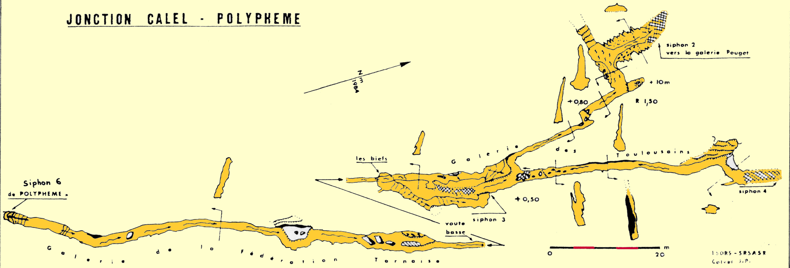 9-RESEAU-CALEL-POLYPHEME