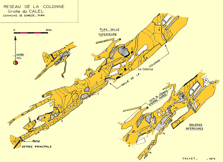 RESEAU-DE-LA-COLONNE