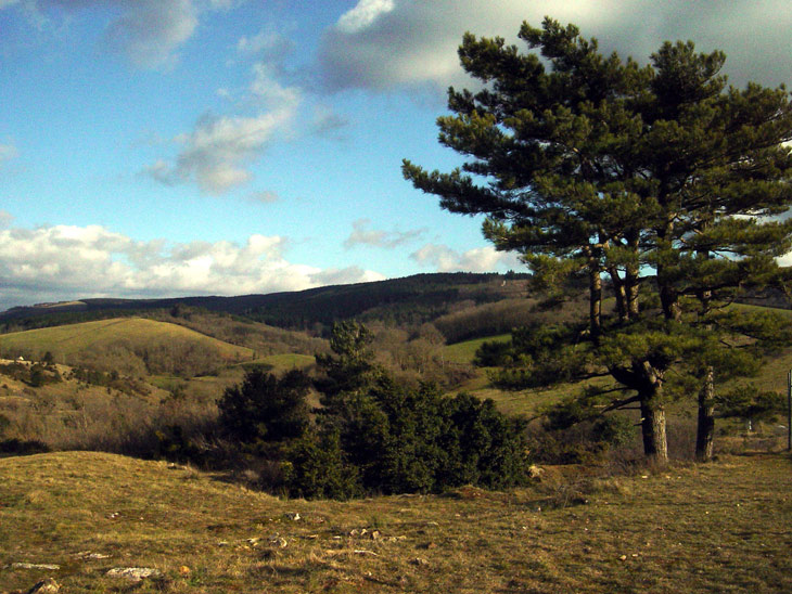 le-plateau-du-causse