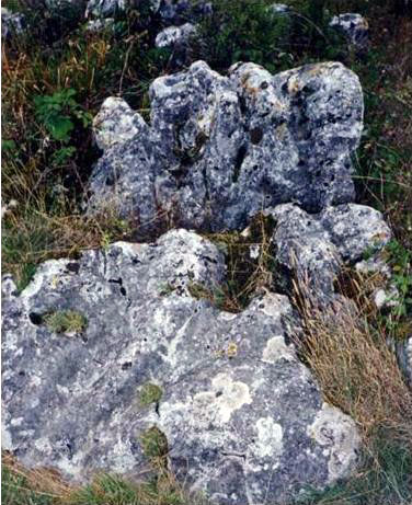 GENOUILLADES