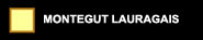 MONTEGUT LAURAGAIS
