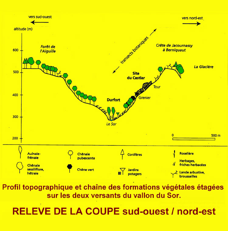 RUAS-GRENIER-DURFORT