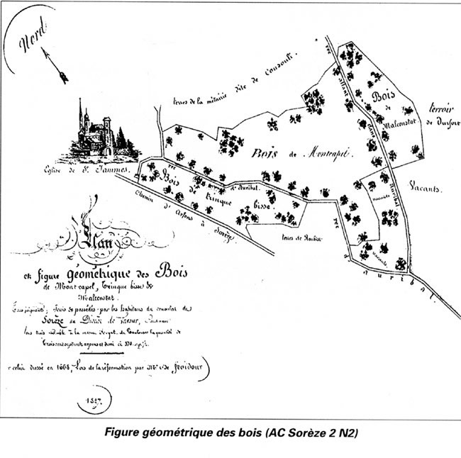 figure_geometrique_des_bois